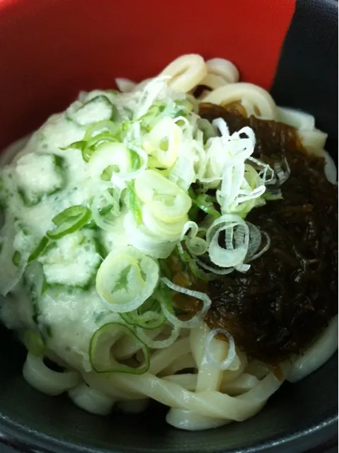 Snapdishの料理写真:たまご抜き、とろろうどん|岩瀬さやかさん