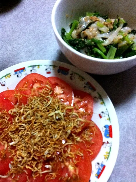 今日のお野菜|masamiyさん