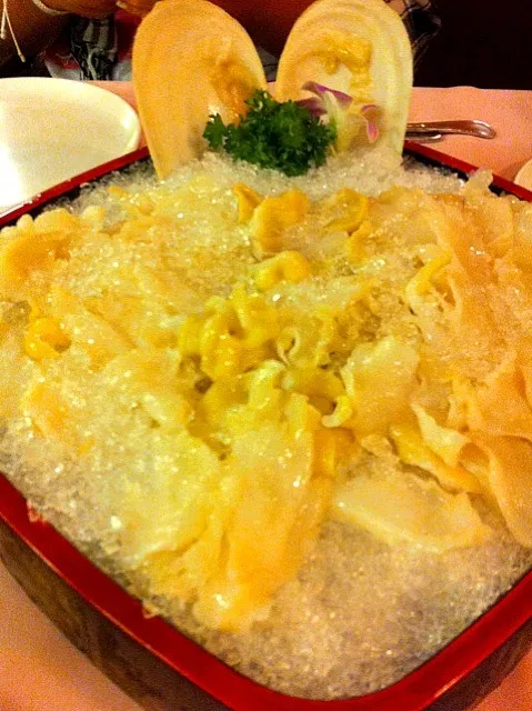 Snapdishの料理写真:Geoduck clam sashimi|meiyunさん