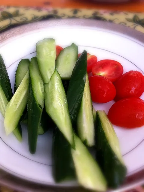 取れたて野菜|きよたさん