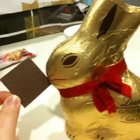 Snapdishの料理写真:lindt swiss thins and lindt rabbit|xyさん