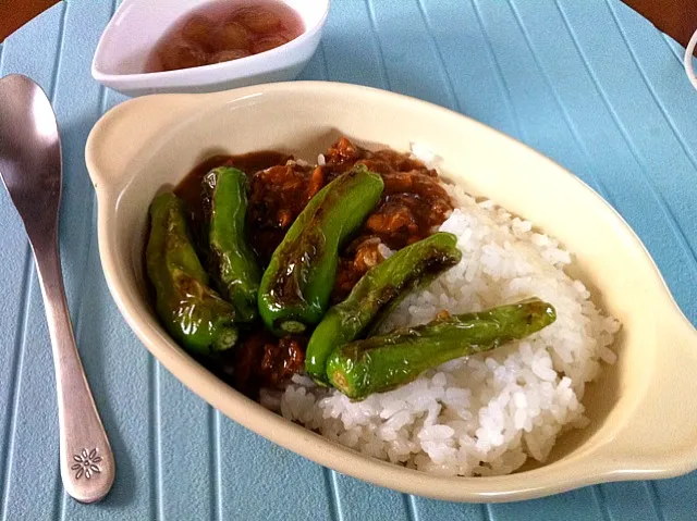 Snapdishの料理写真:高知のししとうとサバカレー|cheesyさん