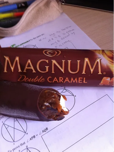 MAGNUM|manasi bhargavさん