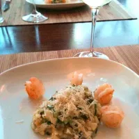 Snapdishの料理写真:risotto zucchini spinach pecorino scampi|Benjamin van Gelderさん