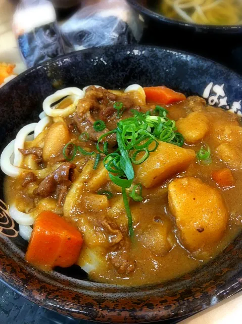 はなまるうどんのカレーうどん|亜紀さん