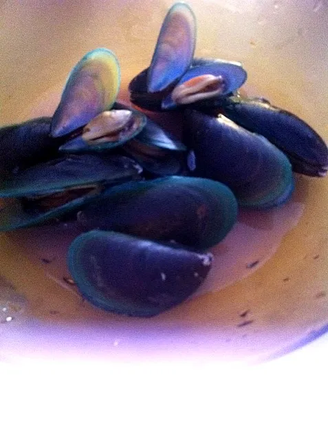 mussels|Shiyaさん