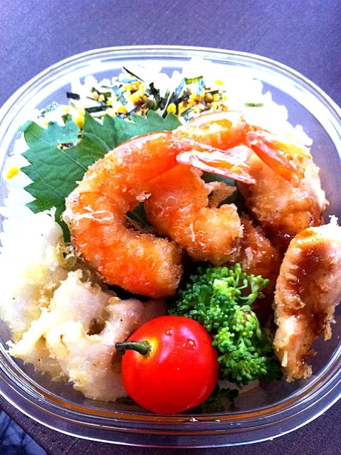 男子昼弁 天丼|こいたんさん