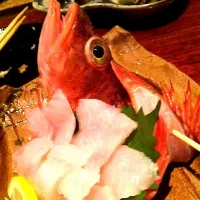 Snapdishの料理写真:かさごのお造り|山川光貴さん