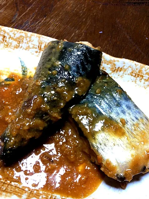 Snapdishの料理写真:母特製 鯖の味噌煮|satomiさん