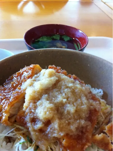 Snapdishの料理写真:カツ丼で。いつもの学食にて。下に大量のキャベツが敷かれていてタレがその下のゴハンに届かない。|yxxtsさん