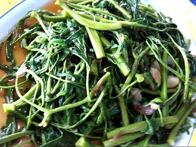 fried water minosa with garlic and oyster sauce|thanyathorn thammaさん