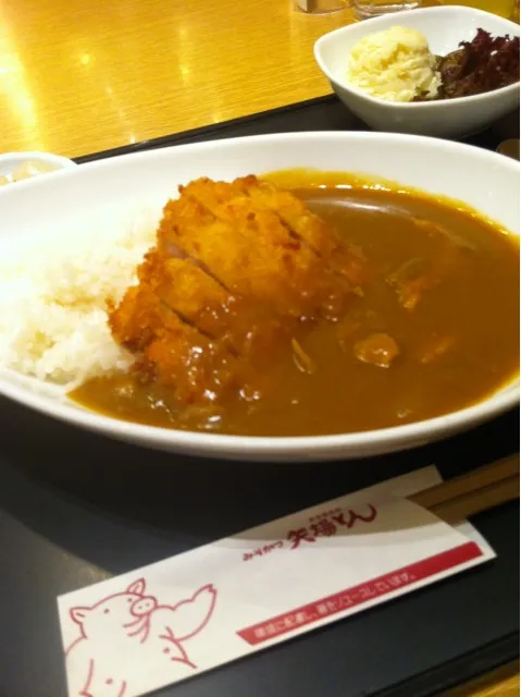 Snapdishの料理写真:矢場とん トンカツカレー|やなぼうさん