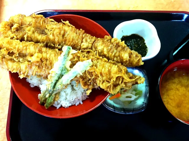 日本の盲腸・房総半島に初上陸。館山なう。25cmの巨大穴子丼を頬ぼります。|平良 祐太さん