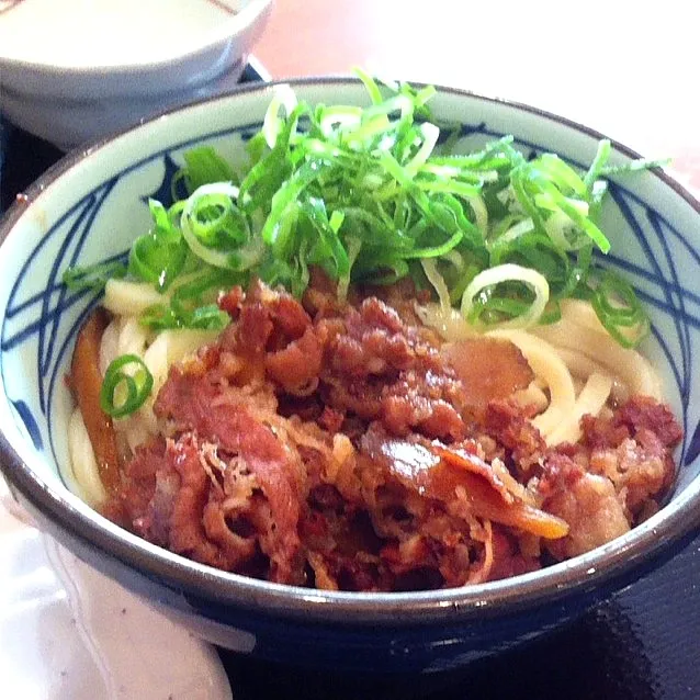 肉ごぼうぶっかけうどん|Masさん