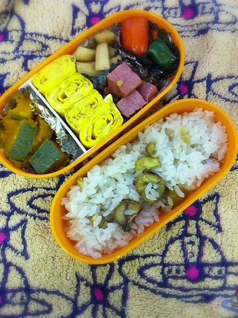 Snapdishの料理写真:本日のお弁当。母の日リクエストにより、栗ご飯。|まりもさん