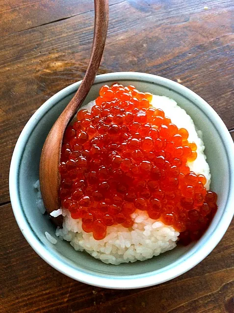 歯舞産イクラ醤油漬けで朝食|Hiroyukiさん