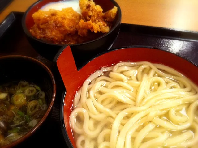 ミニ鶏玉丼セット、うどんは釜揚げ。|liccaさん