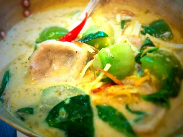 green curry with fish ball|nuttyさん