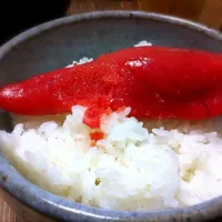 Snapdishの料理写真:ご飯のお供にタラコ|osappさん