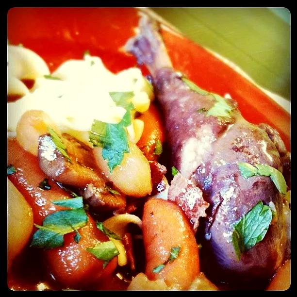 Coq au Vin|Kimberly Kellyさん