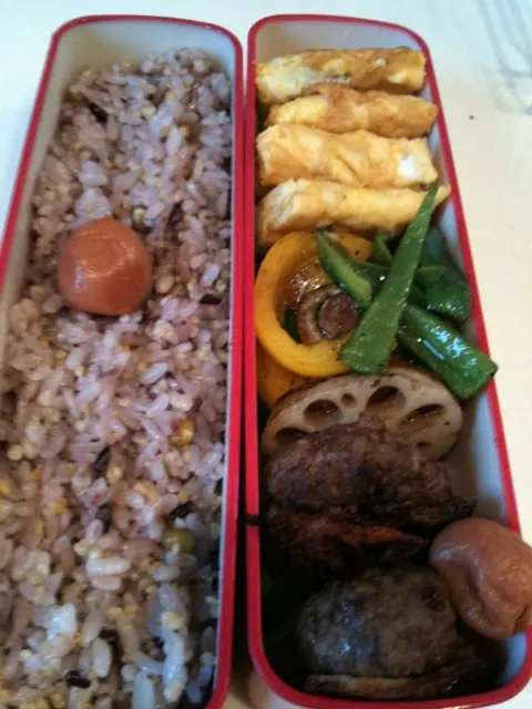 今日のお弁当。肉とレンコンが別々になったレンコンはさみ焼、ピーマンとパプリカとマッシュルーム炒め、卵焼き。|Ｐ助さん