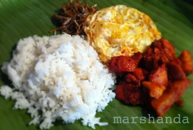 nasi lemak|Faiezah Hussinさん