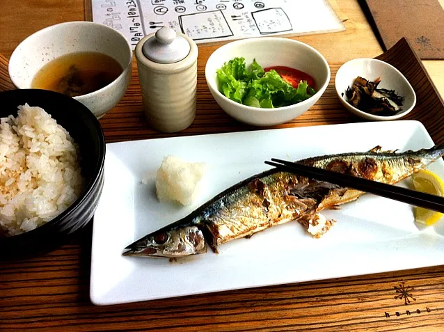 Snapdishの料理写真:sanma lunch|lauren shannonさん