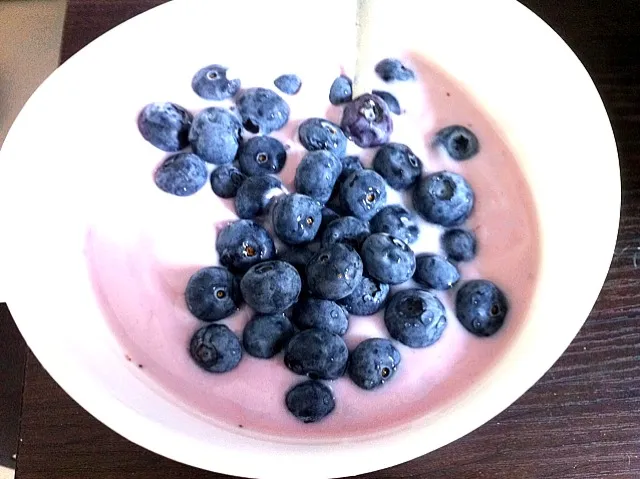 Fresh Blue Berry Yogurt|Lauraさん