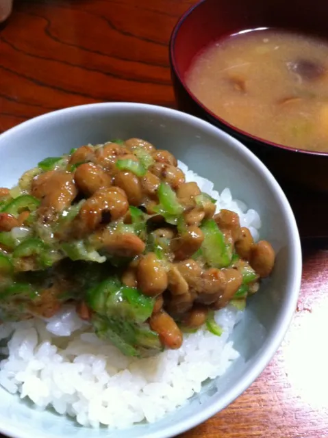 今朝は納豆ご飯|tairaさん