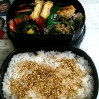 昼ご飯 お弁当|Ochamusさん