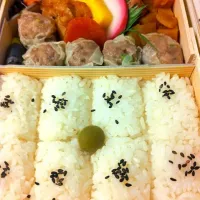 Snapdishの料理写真:崎陽軒のシウマイ弁当|ぢゅんぢゅんさん