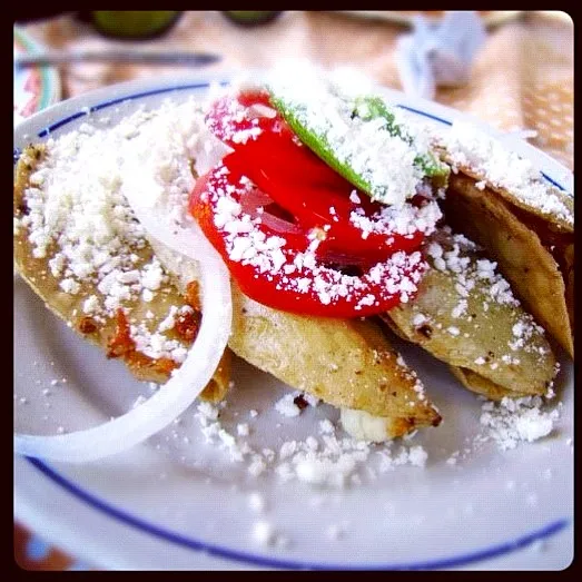 Quesadillas in Xochimilco, Mexico City|sun daiさん