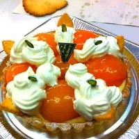 Snapdishの料理写真:apricot tart|toomtuiさん