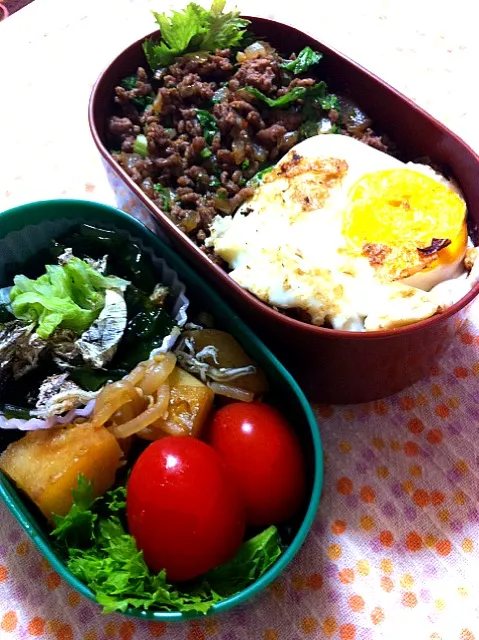 今日の弁当。ガパオご飯。ジャガイモバター醤油炒め、白菜ワカメおぼろ昆布和物。|nozomi tsujiさん