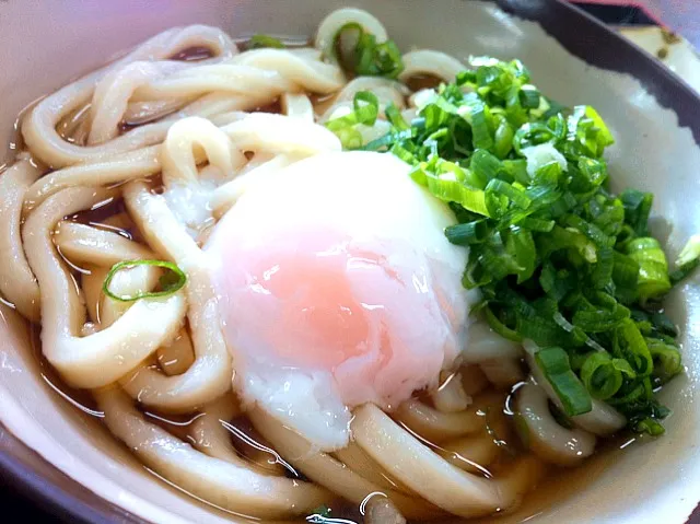 お昼ご飯：温玉ぶっかけうどん|Nilsさん