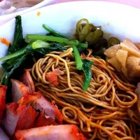 Snapdishの料理写真:Pontain Wan Ton Mee|Adrian Chiaさん