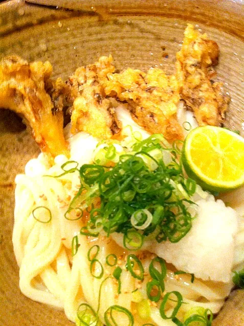 おどるうどんのまいたけ天入り生醤油うどん|Ikukoさん