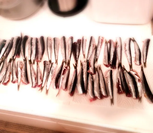 オイルサーディンを作り中！|minetaさん