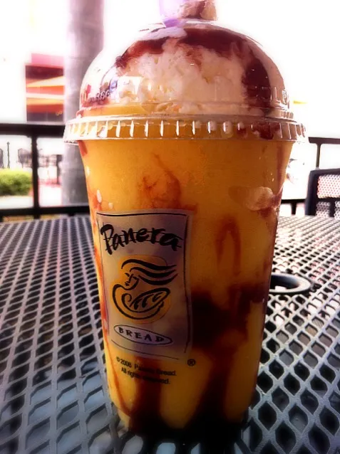 panera smoothie|norikoさん