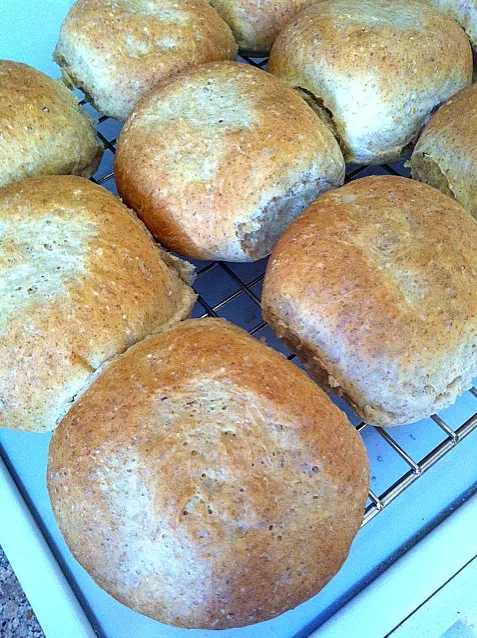 Burger buns (not dinner rolls ;P) / 実はウーピーパイ型に仕込んだところ成長しすぎ…|mamakumiさん