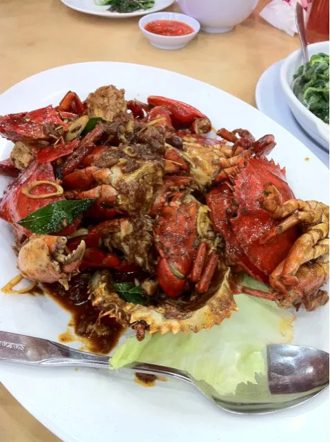 spicy mud crab|Darren Loさん