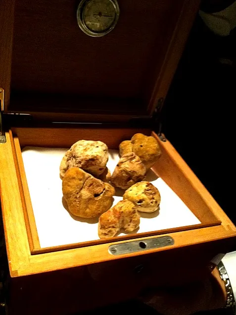 alba white truffles|willzさん