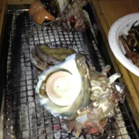 Snapdishの料理写真:BBQ|hanaさん