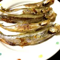 Snapdishの料理写真:本物のししゃも🐟|kmimiさん