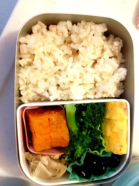 リノのお弁当(=^ェ^=)＋バナナ1/2よく食べます(^^;;|suzumeさん