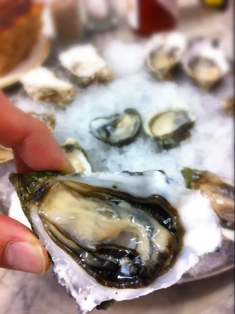 Snapdishの料理写真:kumamoto oyster|willzさん