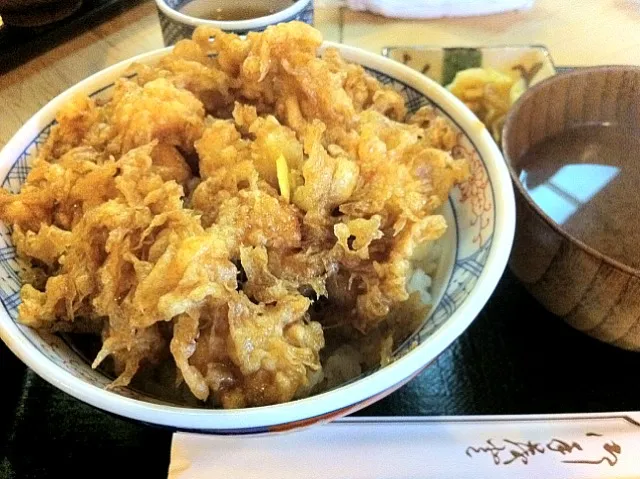 Snapdishの料理写真:天茂のかき揚げ丼♥|Hideki Nagahoriさん