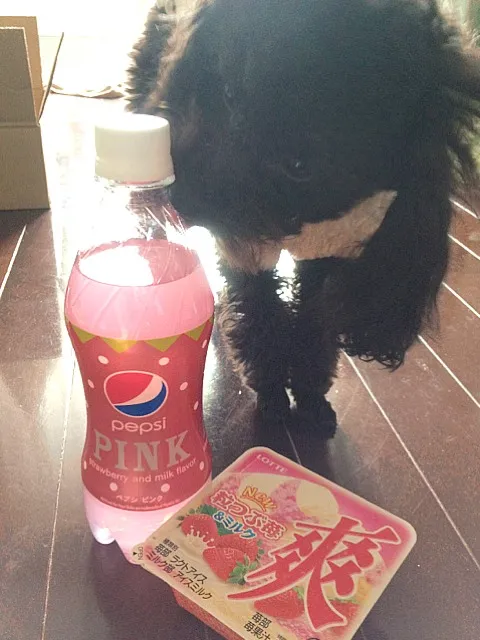 pink pepsi핑크 팹시!|sungさん