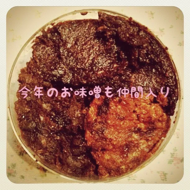 お味噌3種類。今年作って解禁したお味噌使って本日は豚汁|rumiさん