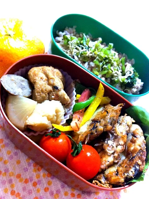 今日の弁当。菜っぱごはん、ひじき入り豆腐ハンバーグ、根菜とがんもの煮物、ピーマン炒め。|nozomi tsujiさん